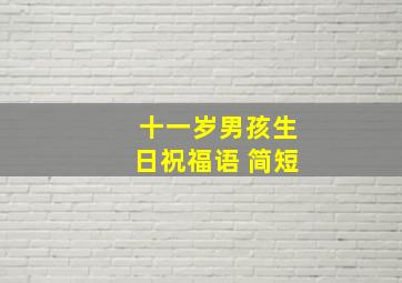 十一岁男孩生日祝福语 简短